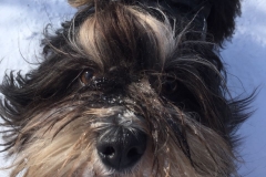 2018-03-26-PHOTO-00000387