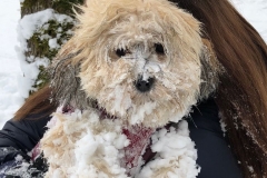 2018-03-26-PHOTO-00000389