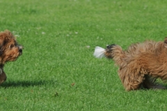 cropped-DSC_7326