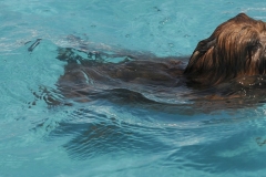 cropped-DSC_6879