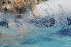 cropped-DSC_7049