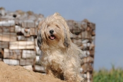 Emilio