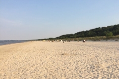 IMG_7315[1]